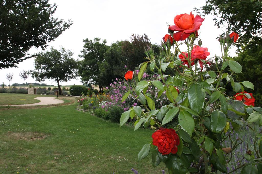 Chambres D'Hotes Domaine De Nazere Avezan Dış mekan fotoğraf